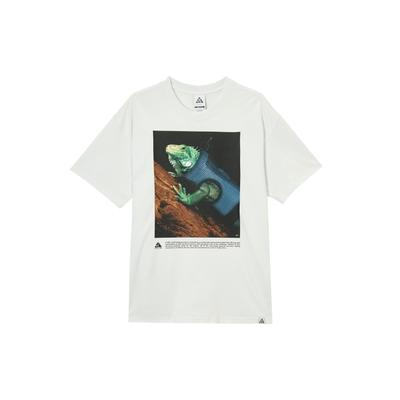 Nike Acg Iguana T-shirt HJ0890-121