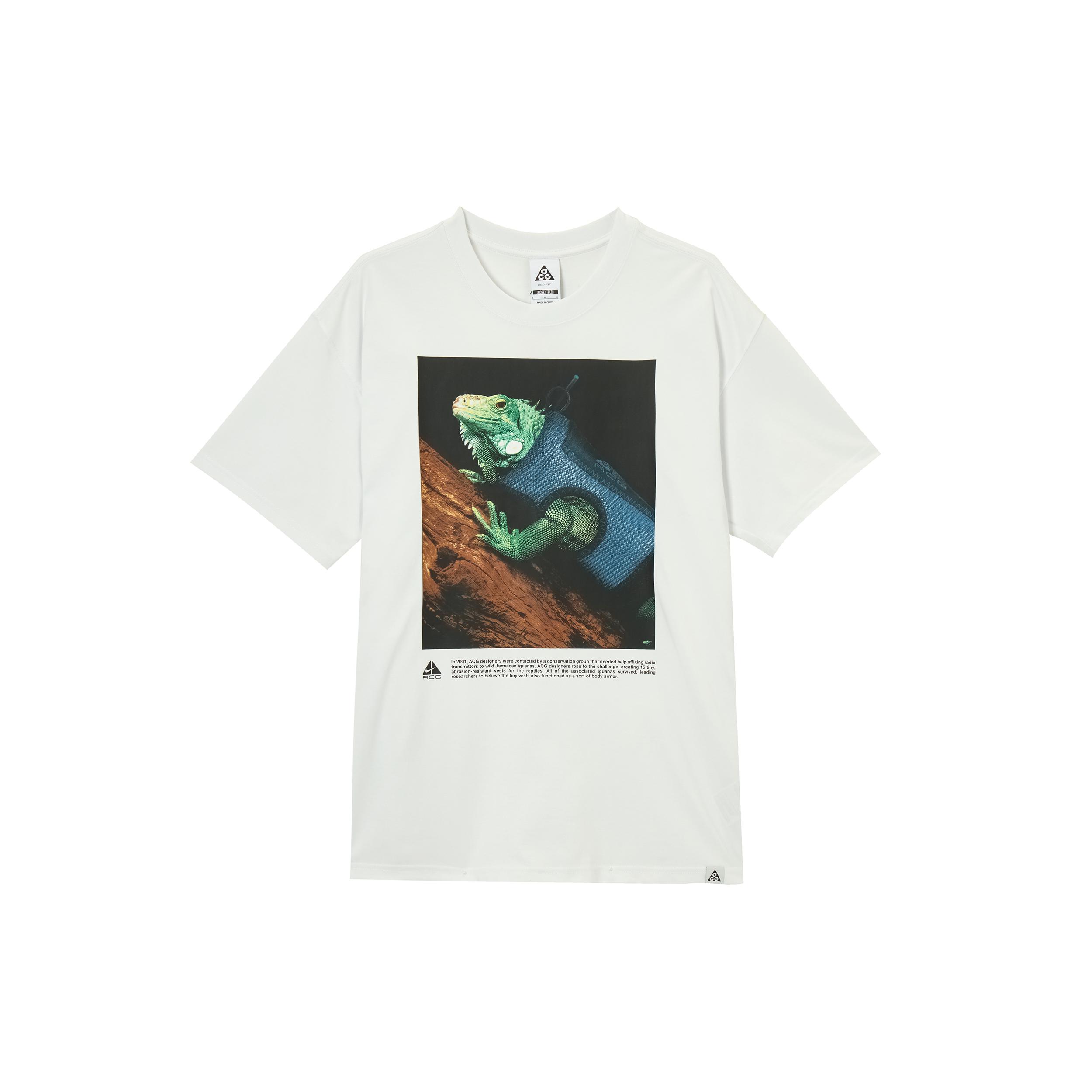 Футболка Nike Acg Iguana HJ0890-121 2XL