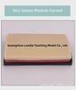Surgical Suture & Injection Training Silicone Module