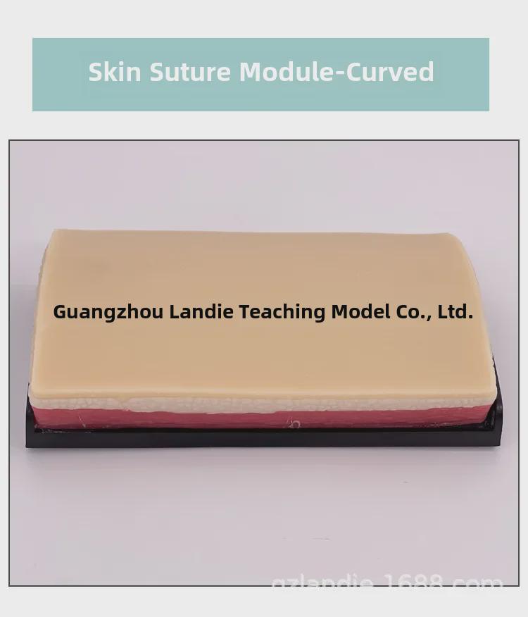 Surgical Suture & Injection Training Silicone Module