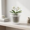 6xClear Orchid Pot 3 Pack, Square Polypropylene Slotted for Roots with Drainage System,