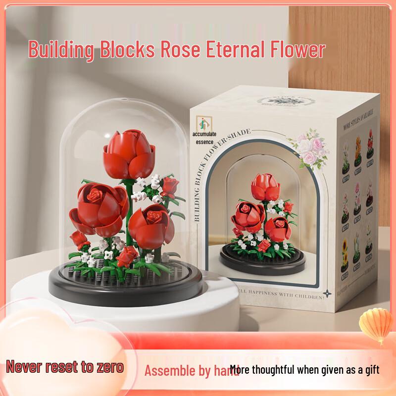Bailishuang Creative Building Block Sets
