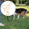 Dog Leash Training Adjustable Small Medium Large Dogs Portable Slip Leads Rope Running