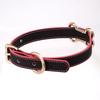 BAY Choker Warm Color Sp Puppy Collar Subculture Niche PUPPY Punk Wind Qq Collar Female Adult Products Sex Bundle