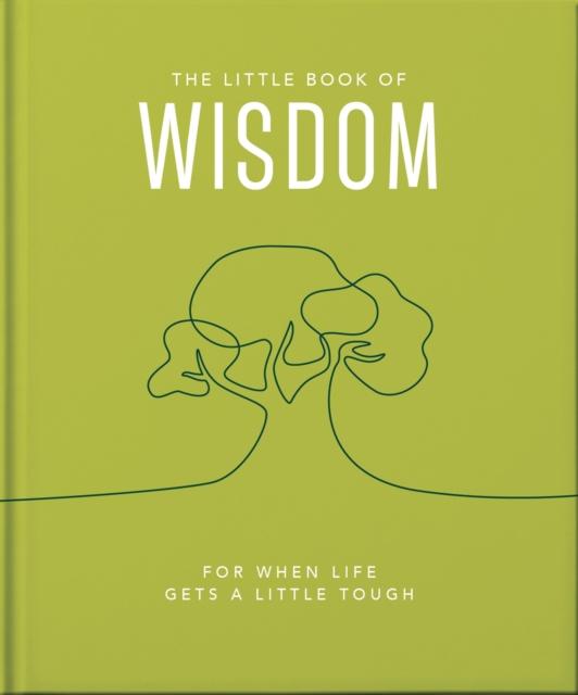 The The Little Book of Wisdom : For When Life Gets a Little Tough Book
