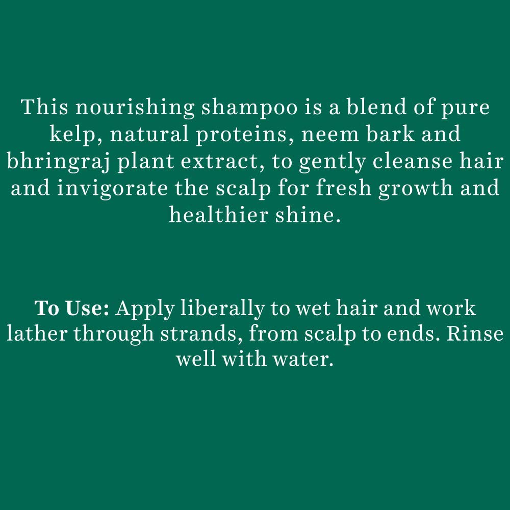 Biotique Ocean Kelp Anti Hairfall Shampoo 650ml | Natural Hair Growth Therapy | Strengthens & Shines | 100% Botanical Extracts