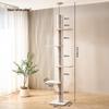 Miaolisi Floor-to-Ceiling Cat Tree