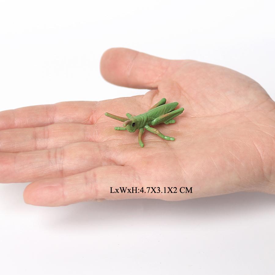 Insect Toy Miniature Insects Figures Animal Figurines Beetle Bee Spider Models Action Figure Plastic Animals Toys for Children