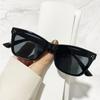 Ladies Fashion New Cat Eye Sunglasses Personality Trend All-match Sun-shading Sunglasses