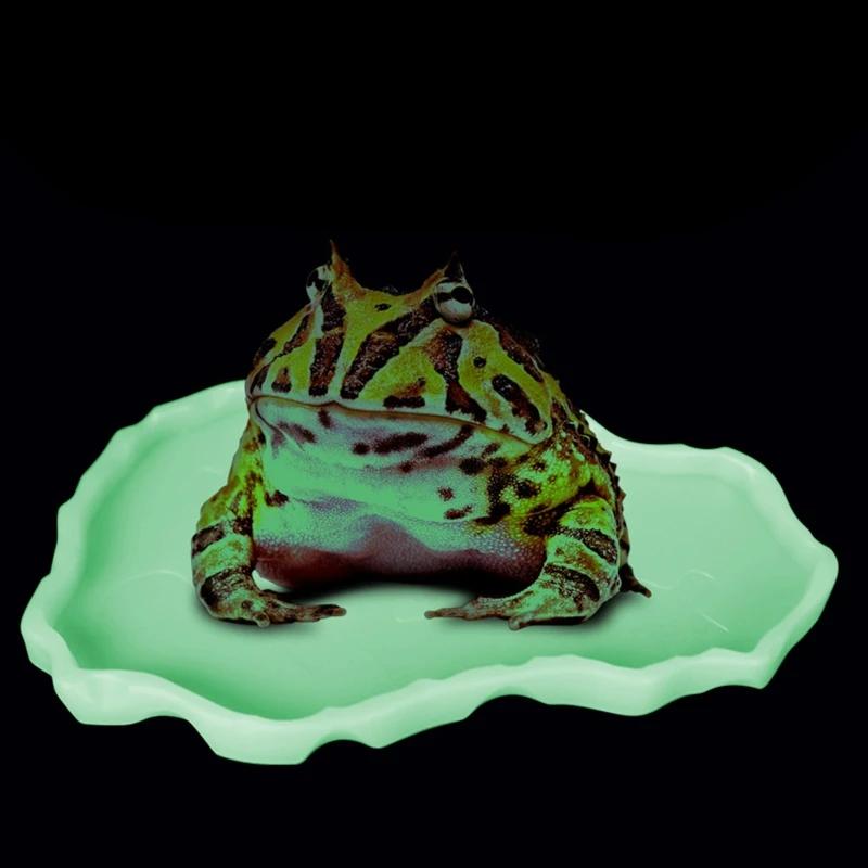 Reptile Bowls Terrarium Feeding Worm Dish Reptile Mealworm Feeder Dish Plastic Bowl For Frog Gecko Snake Spiders Turtles Pet