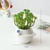 INS Style Glass Faux Succulent Desktop Ornament