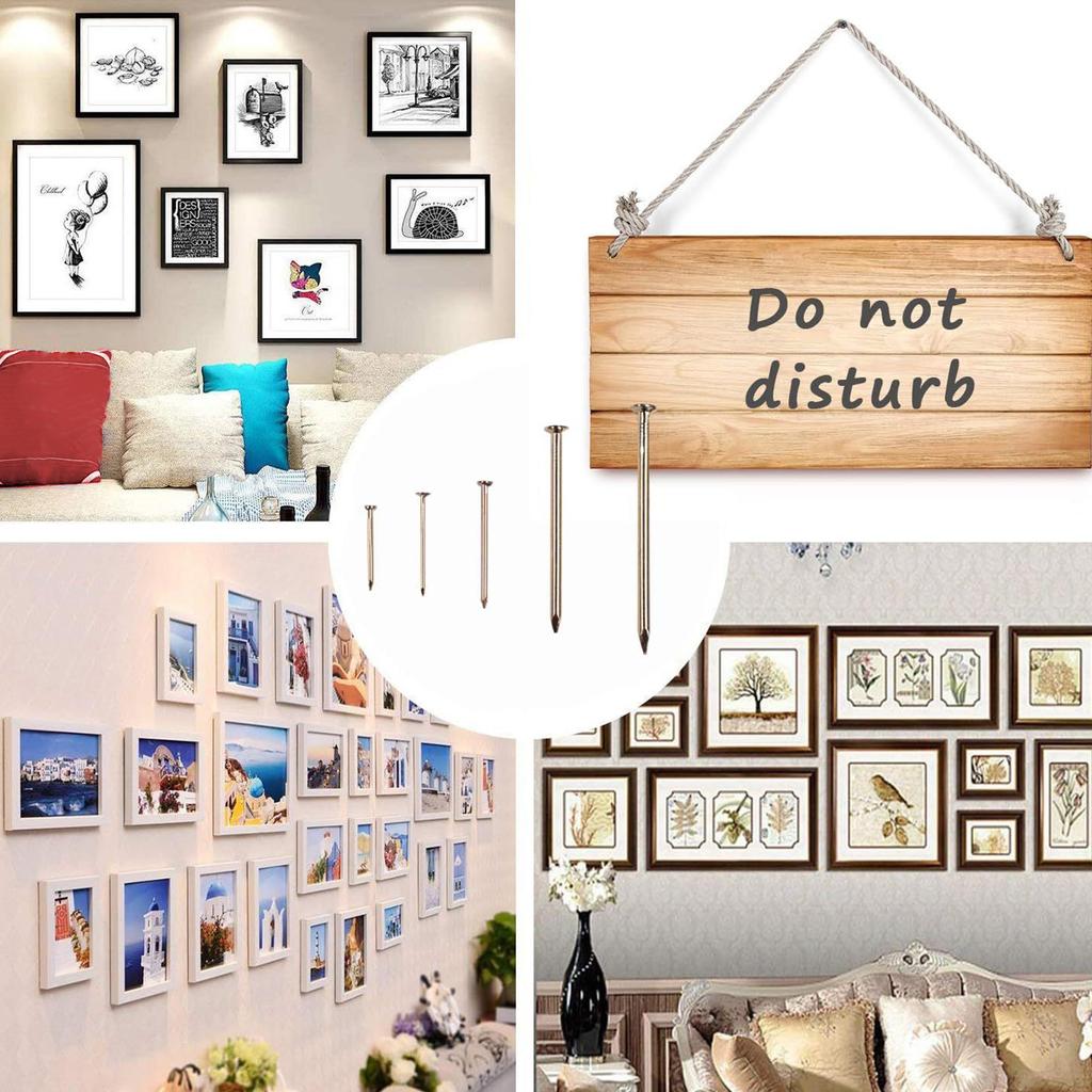 350Pcs Hardware Nails Assortment Set Picture Hanging Nails Iron Wall Nails with Box for Hanging Picture Craft Projects