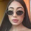 Oval Sunglasses Women Retro Metal Small Frame Sunglasses Men Luxury Popular Ins Sun Visor Driving And Fishing Sunglasses UV400