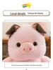 Viral Cute Little Pig Plush Toy Doll – Perfect Gift for Girls