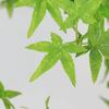 Multi-Stem Maple Tree Simulation: Floor-Standing Potted Plant for Home, Living Room, or Window Display