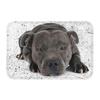 Starry Night Oil Painting Bull Terrier Carpet Mat Anti-Slip Rubber Backing Rug for Pet Lover Home Decoration Artistic Anime Rug