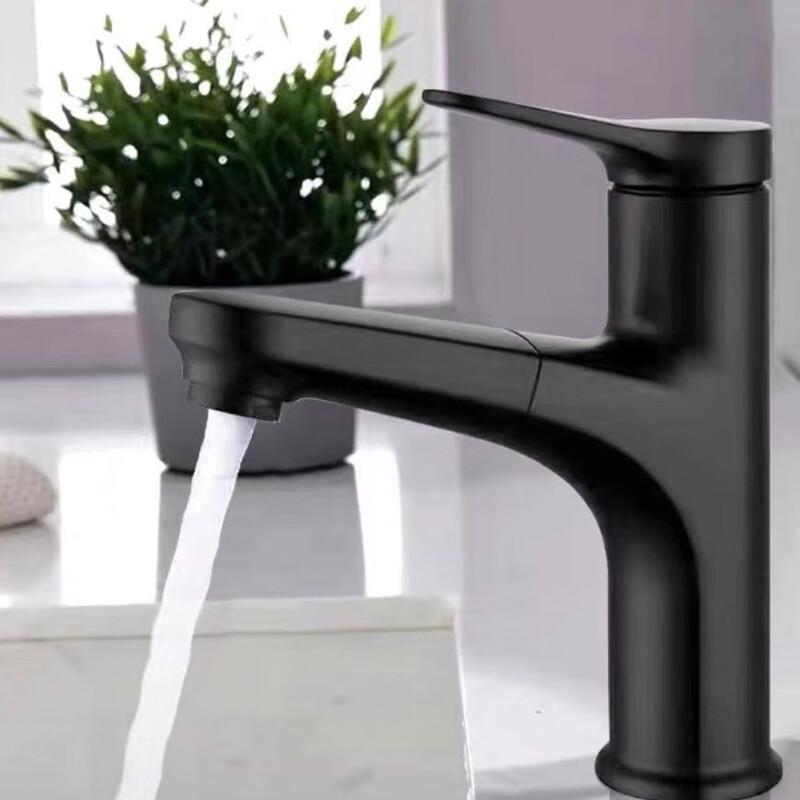 TLXT Pull-Out Single Handle Basin Faucet