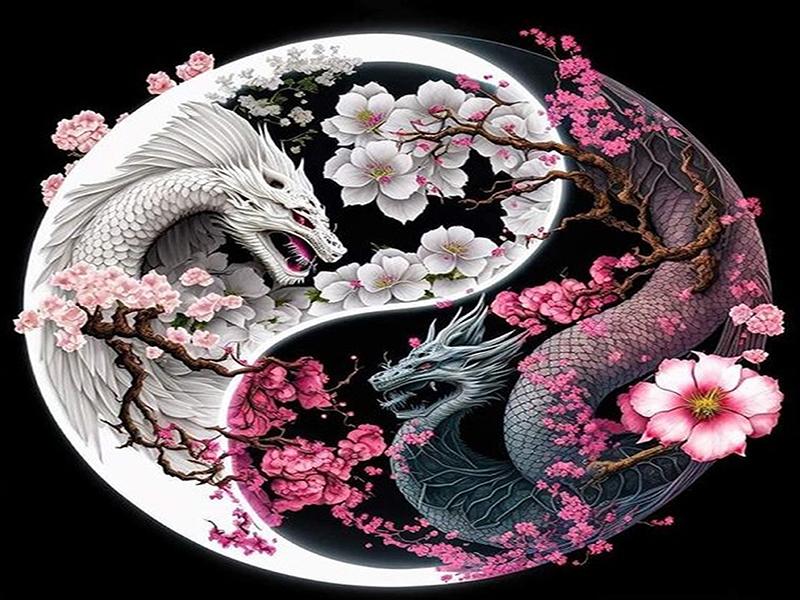 Yin-yang Animal Personality DIY Full Drill Diamond Decorative Painting