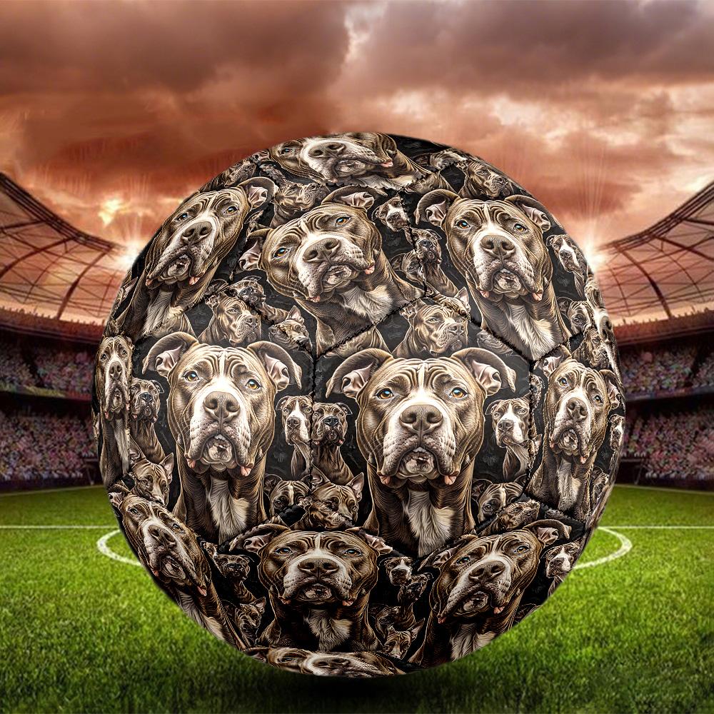 Afghan Hound Indoor Soccer Ball Size 5 Colorful All Ages Machine Stitched PVC Competition Ready Durable High-Bounce