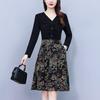 Splicing Fake Two Piece Dress Long Sleeved Women's Early Autumn New Style Light Luxury Fashion V-neck Slim A-line Dress