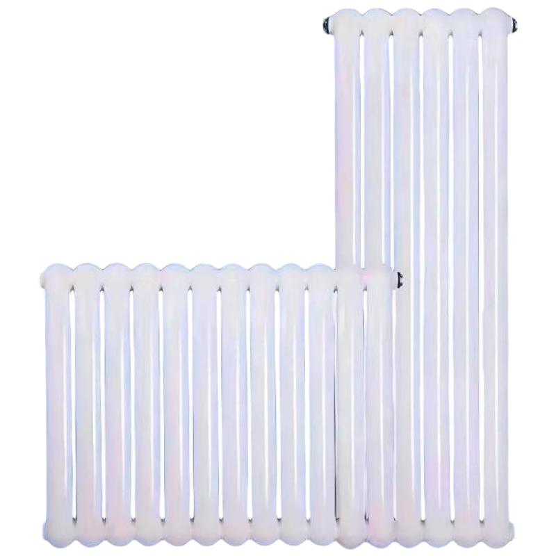 Chuang Yi Ding Steel 6030 Two-Column Hot Water Radiator