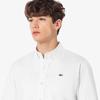 Lacoste Men's Basic Oxford Shirt CH154E-56G001