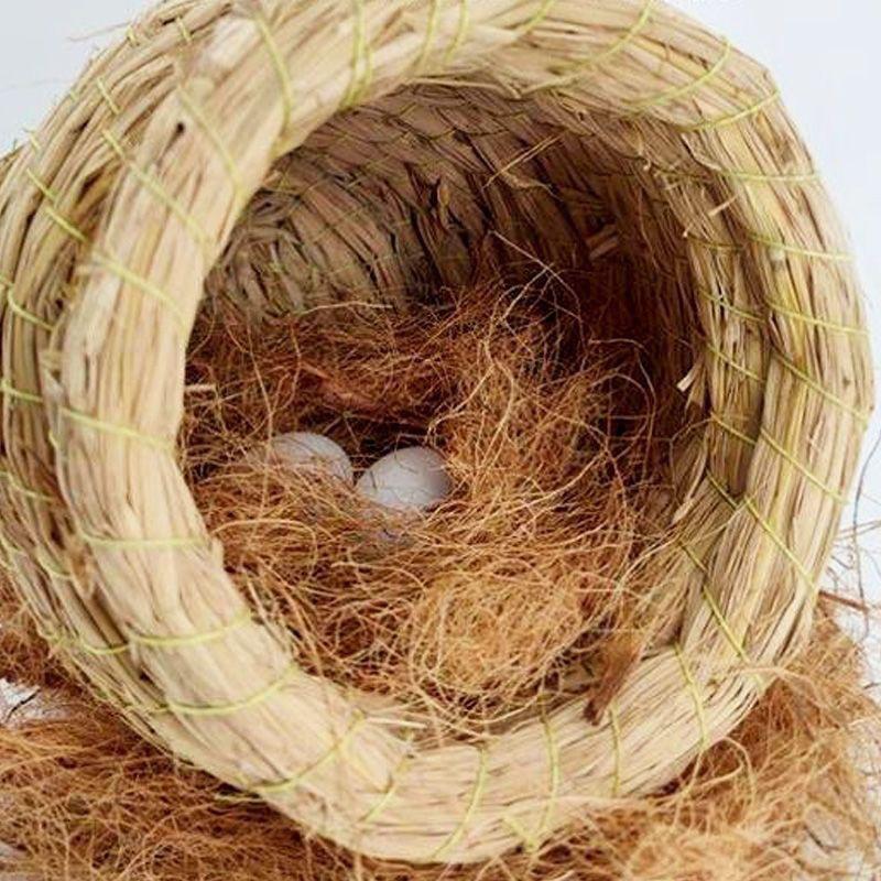 50g Coconut Palm Silk Coconut Shell Silk Greening Covering Potted Coconut Silk Paving Decorative Bird's Nest Bedding Breathable Grass Silk