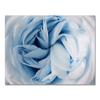 Blue Dandelion Rose Leaf Sea Quote Wall Art Canvas Painting Nordic Posters And Prints Plant Wall Pictures For Living Room Decor