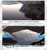 Zmart Car Wax Paint Protection Hard Gloss Super Waterproof Film Shine