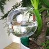 350/500ml Automatic Flower Waterer Self-Watering Balls Drip Irrigation Series Indoor Outdoor Plant Watering Bulbs