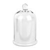 Eternal Life Flower Glass Storage Jar 8 Colors Cloche Dustproof Jar  Bedroom Decoration