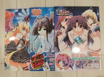 [GEBRAUCHT] Akata Itsuki Excellent Punitto Fanbuch 3-teiliges Set