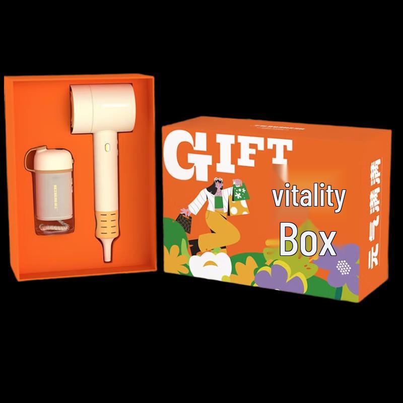 

HEZHENG Vitality Box High-Speed Hair Dryer & Oral Irrigator Gift Set