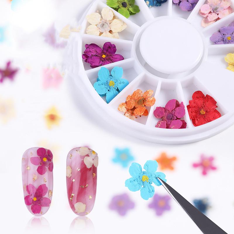 1Box Dried Flowers Dry Plants for Rsein Molds Fillings Epoxy Resin Pendant Tweezers Jewelry Making Craft DIY Nail Art Decoration