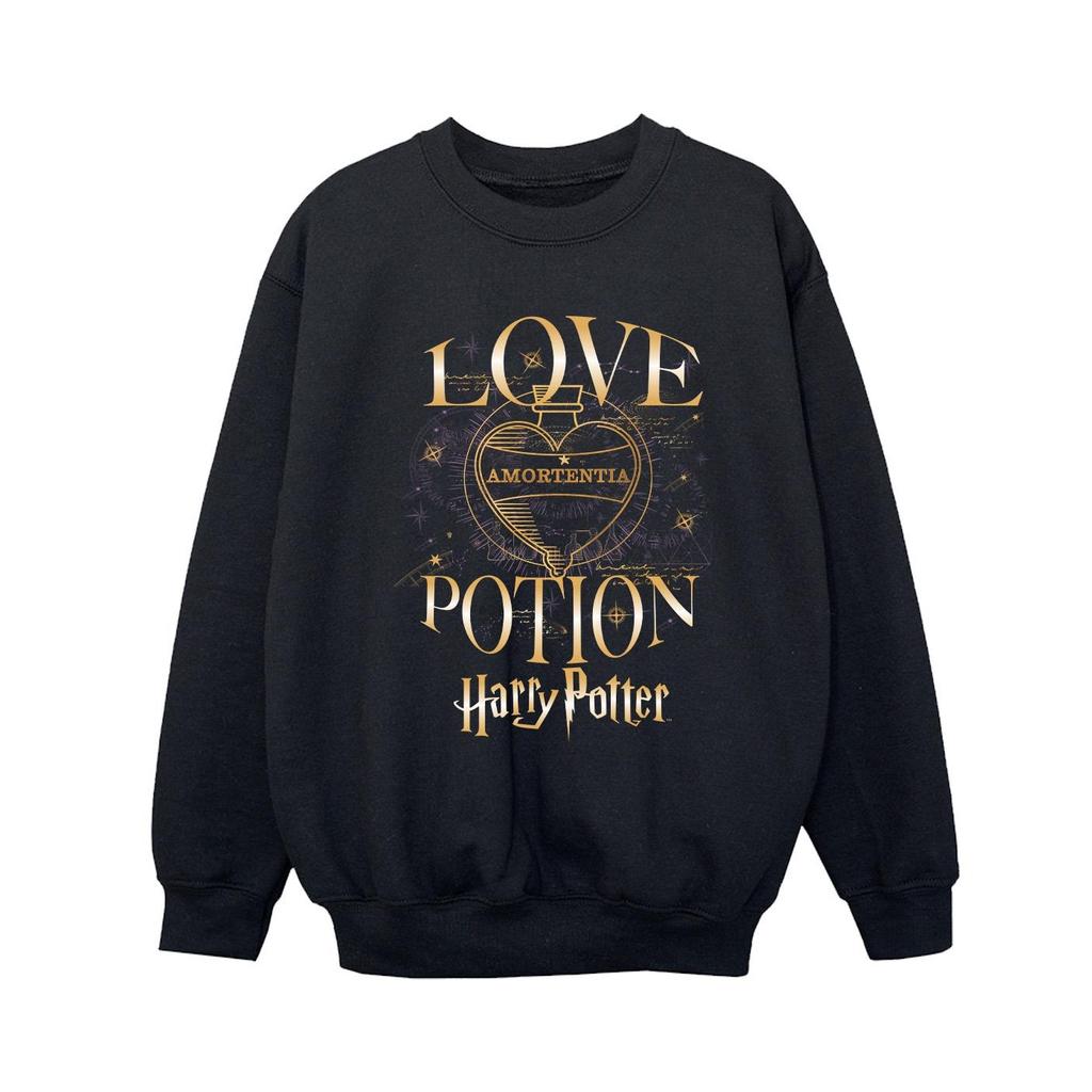 Harry Potter Boys Love Potion Sweatshirt