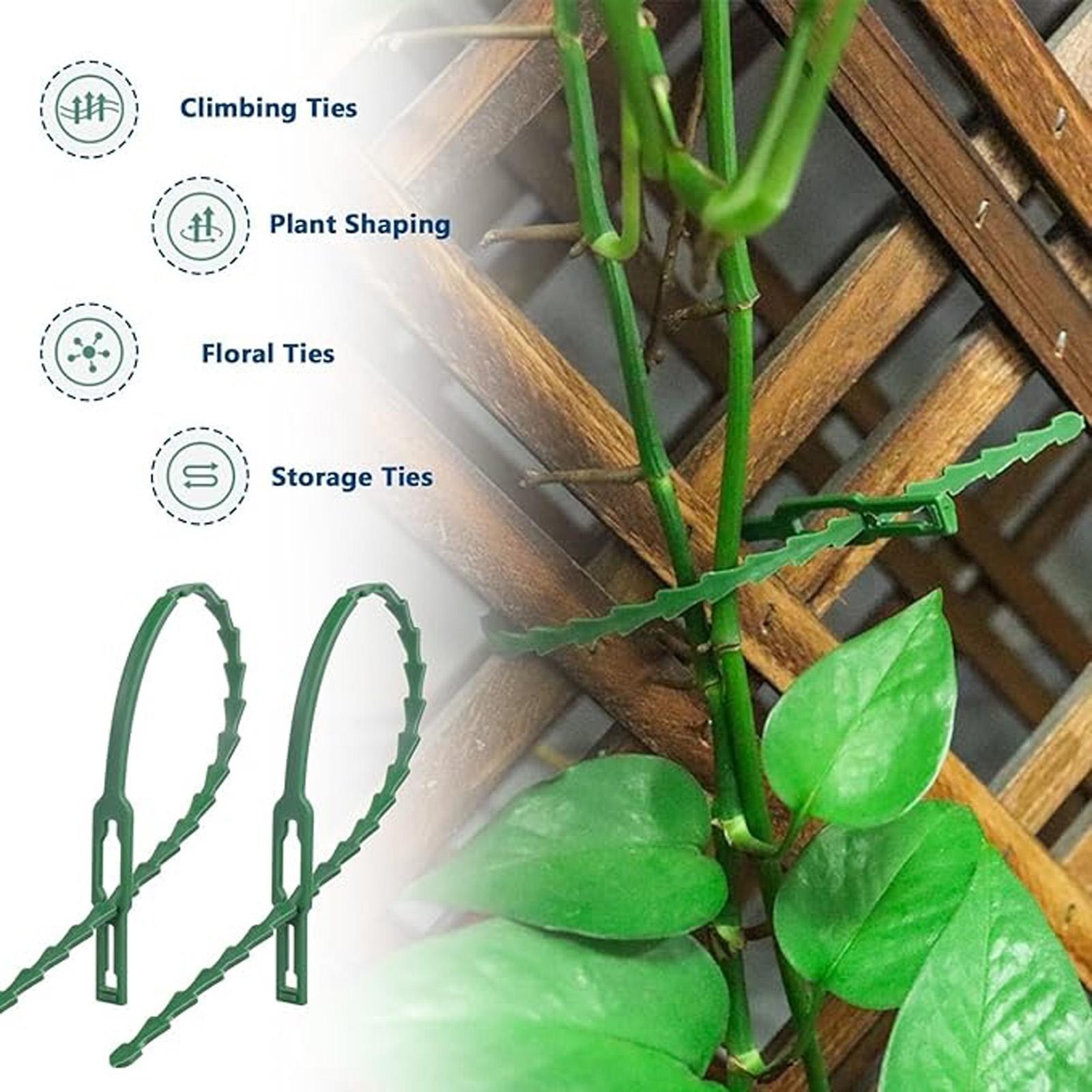 

Multi-purpose Reusable Garden Green Binding Tape, Binding Wire, Garden Fishbone Binding Wire one size
