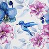 Outdoor Dekostoffe Oxford - Motiv Orchidee Und Kolibri I Dx085