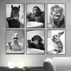 Zähneputzen Tierkunst Poster Löwe Affe Pferd Kaninchen Hund Katze Adler Lustige Badezimmer Wandaufkleber Badezimmertiere Hausdekoration
