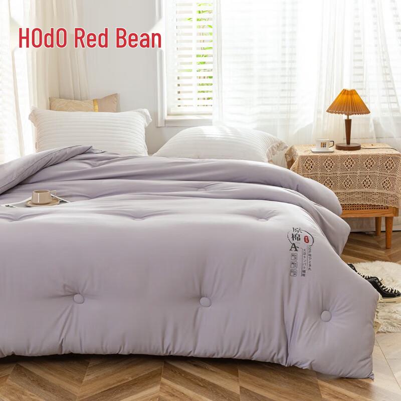 HOdoHome A-Class Soybean Fiber All-Season Quilt