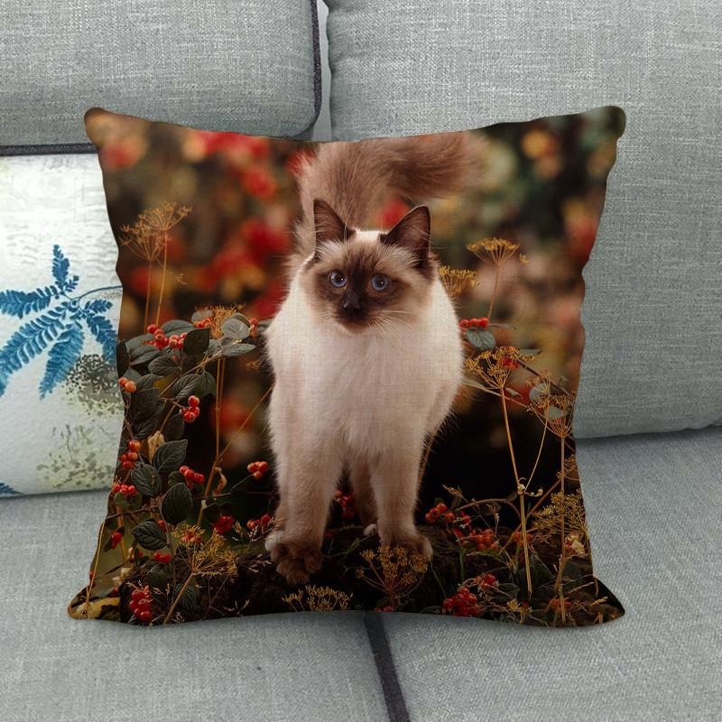 Autumn Animals: Dogs, Squirrels, Wolves, Raccoons Digital Printing Short Plush Pillow Covers For Car Sofa Office Cushion Cover