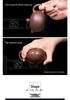 Handmade 120ml Yixing Zisha Xi Shi Teapot for Gongfu Tea