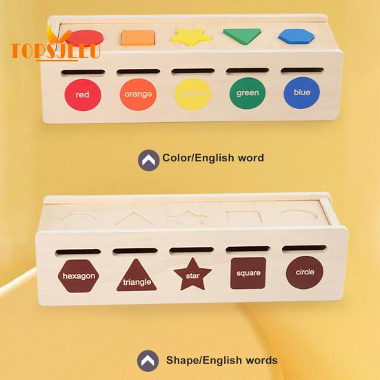 1 Set Color Sort Toys Shape Pairing Puzzle Set Cognition Ability Multifunctional Color Sort Toys for Toddlers