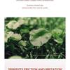 SKIN 1004 - Madagascar Centella Poremizing Clarifying Mask Set