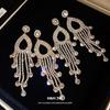 European and American Silver Needle Diamond-encrusted Round Fringed Earrings Retro Simple Fashion Earrings Light Luxury High-end Earrings Women