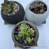 Retro Round Pot - Coarse Pottery, Breathable, Creative Succulent Planter, Simple Table Decoration for Green and Potted Plants.
