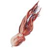 Fishing Squid Bait Artificial Spray Ink Design Red 300g Lure Fishing Octopus Lure for Sea Fishing Accessory