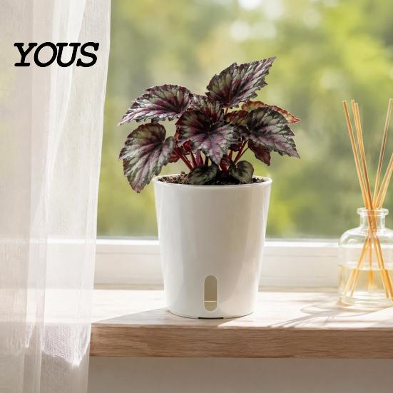 Self Watering Pots for Indoor Plants Plant Plants, Small Planters with Water Level Indicator, Clear Gardening Pothos Inner Cup, Drainage