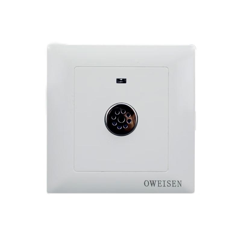 Ruidetai LED Sound & Light Control Delay Switch CN plug (adapter included)