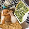 Hanging Plastic Food Dispenser Feeding Rack Grass Container Rabbit Hay Feeder Grass Holder