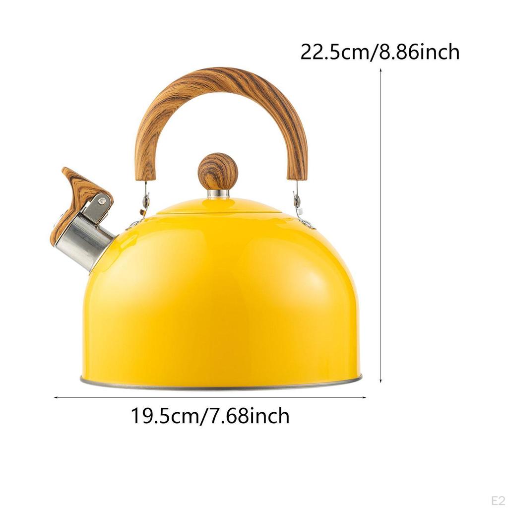 Whistling Tea Kettle Stovetop 2.5 L Heats up Quickly Houseware Teapot Stainless Steel